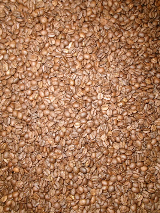 Taste of Uplift Pack