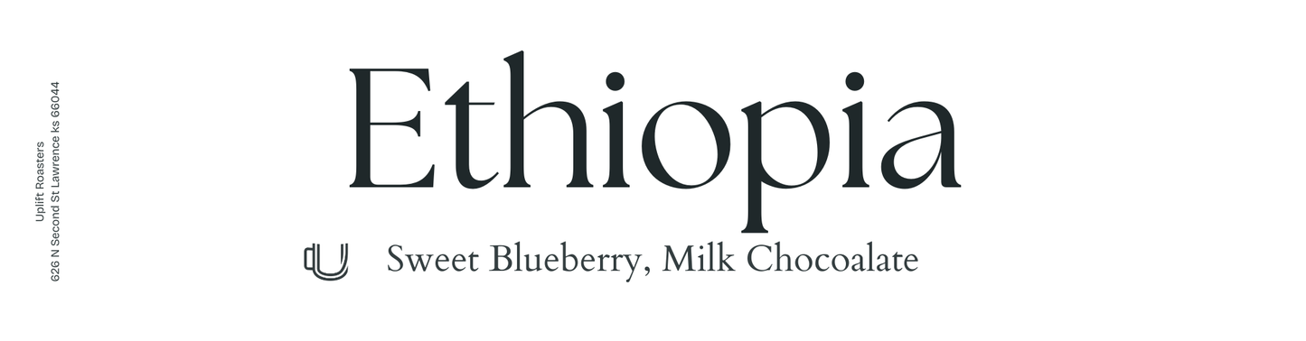 Ethiopia (Single Origin)